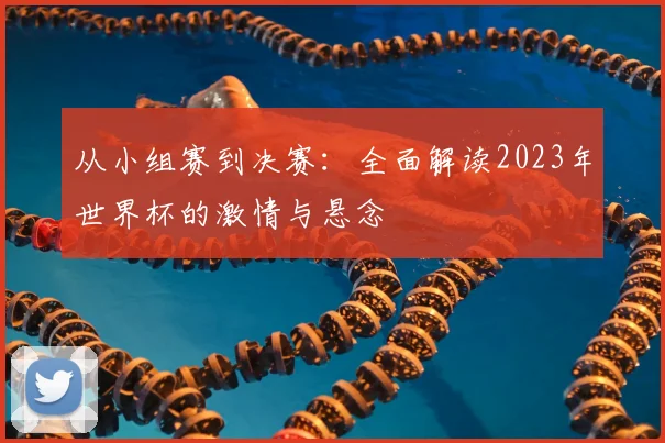 从小组赛到决赛：全面解读2023年世界杯的激情与悬念