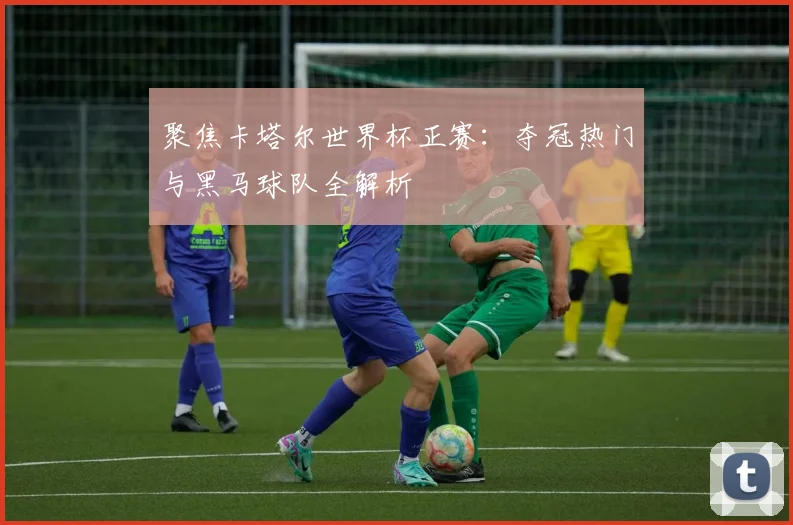 聚焦卡塔尔世界杯正赛:夺冠热门与黑马球队全解析