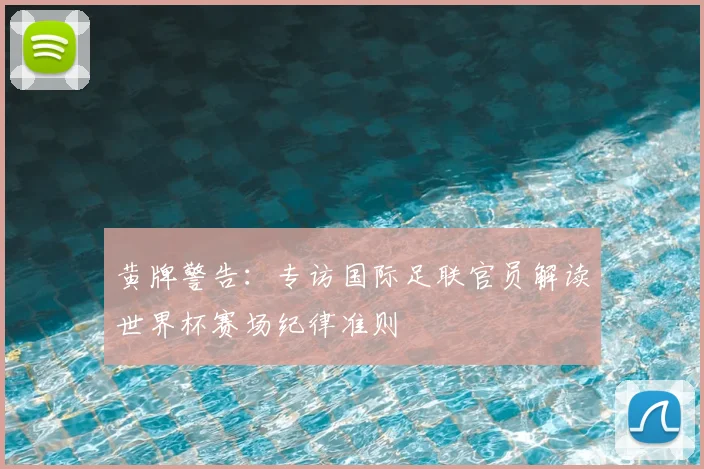 黄牌警告：专访国际足联官员解读世界杯赛场纪律准则