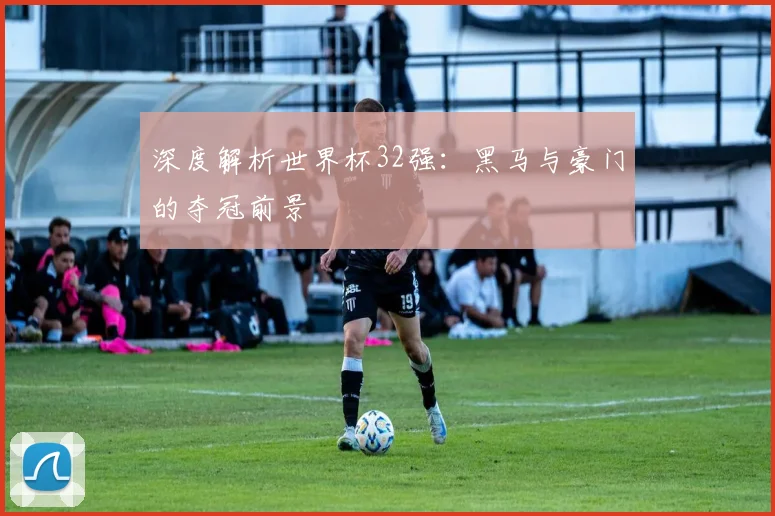 深度解析世界杯32强:黑马与豪门的夺冠前景