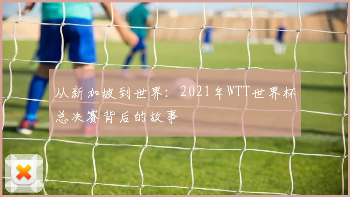 从新加坡到世界：2021年WTT世界杯总决赛背后的故事