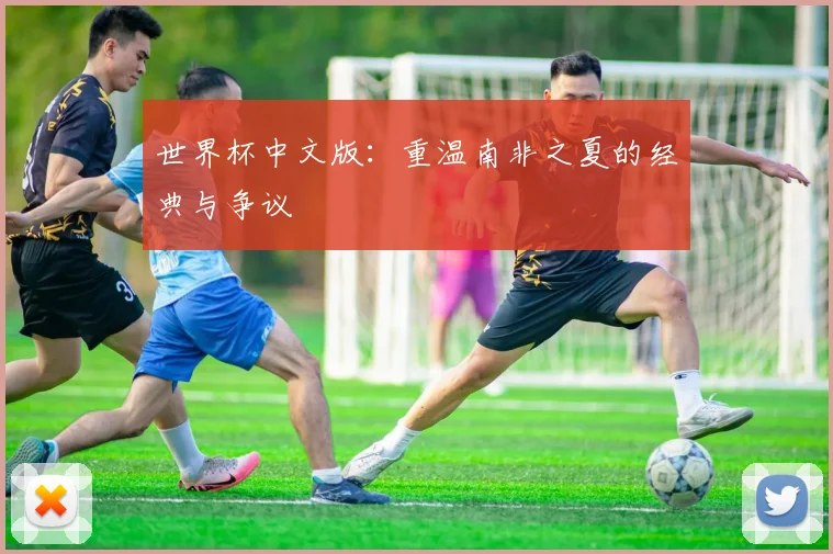 世界杯中文版：重温南非之夏的经典与争议