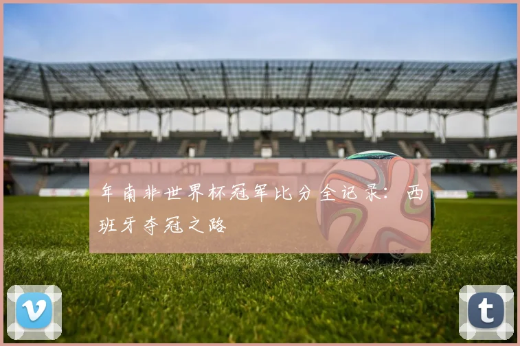 年南非世界杯冠军比分全记录：西班牙夺冠之路