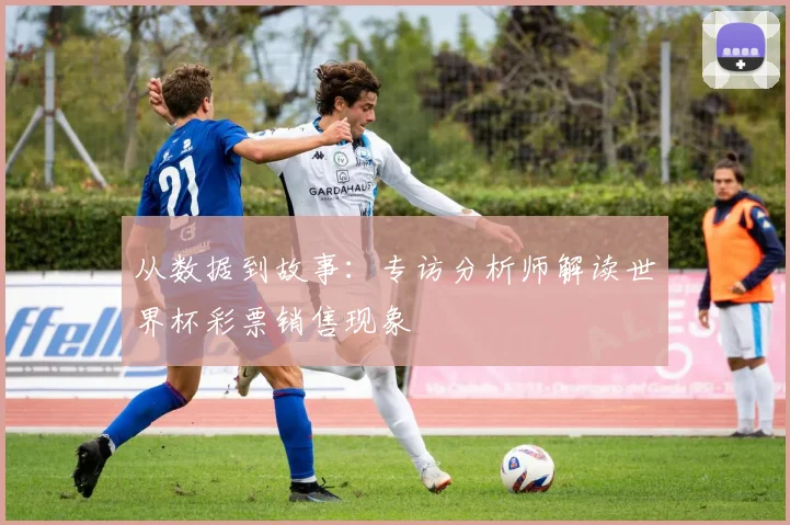 从数据到故事：专访分析师解读世界杯彩票销售现象